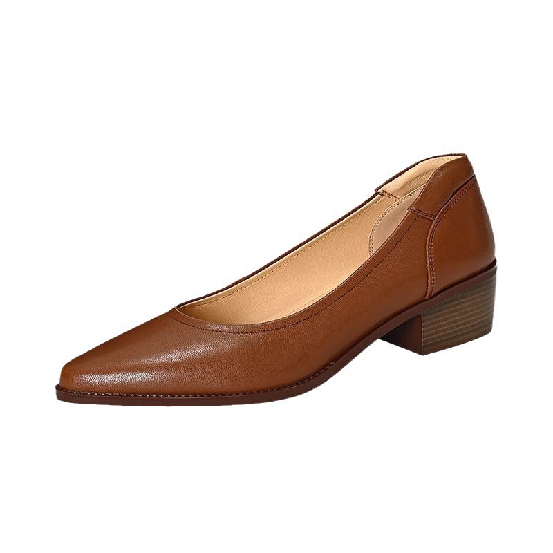 Women's Single Shoes Retro Brown Shallow Mouth Pointed Toe Commuting Mid-heel Anti-slip foto 5