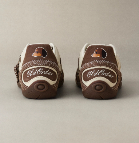 Brown Dachshund German Training Shoes For Men And Women foto 2