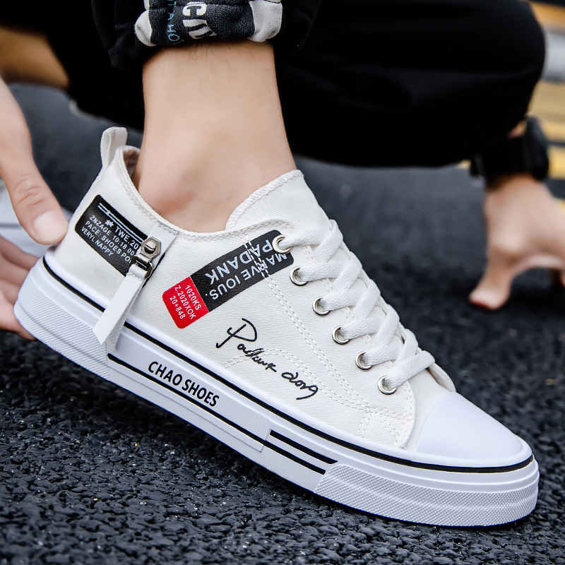 Mens Casual Everyday Canvas Shoes Trend foto 3