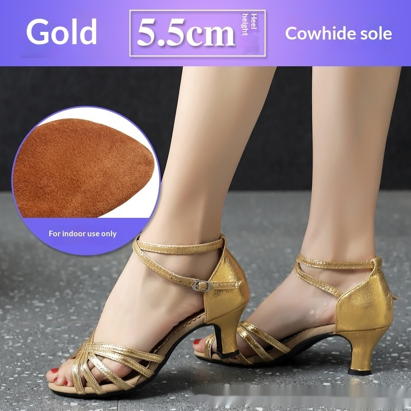 New Style Latin Dance Shoes For Women Square Dancing And Ballroom Dancing foto 3
