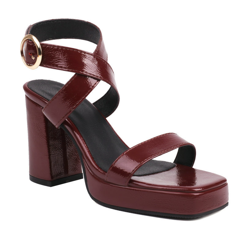 Square Toe Cross Buckle Strap Thick Bottom Chunky Heel Super High Heels foto 4