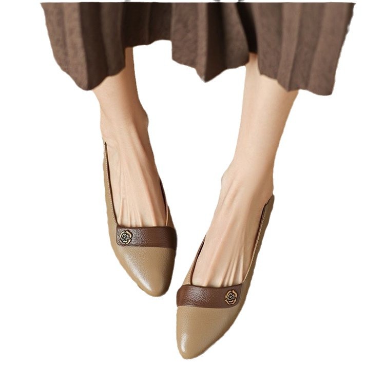 Spring New Comfort Pointed-toe Soft Bottom Versatile Color Matching Women's Shoes foto 3