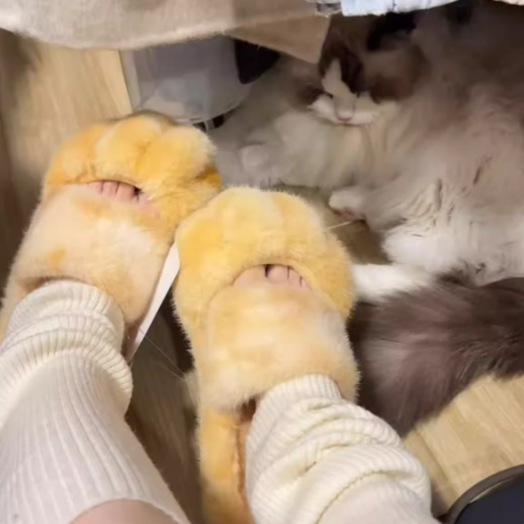 Cat Paw Fleece-lined Slippers Indoor Home Furnishings foto 2