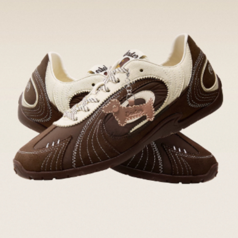 Brown Dachshund German Training Shoes For Men And Women foto 3