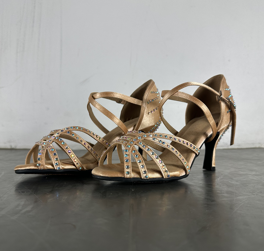 Diamond Latin Dance Women's High Heel Dancing Shoes foto 4