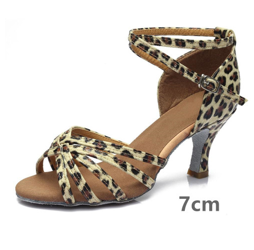 Indoor Satin Latin Dance Shoes foto 2